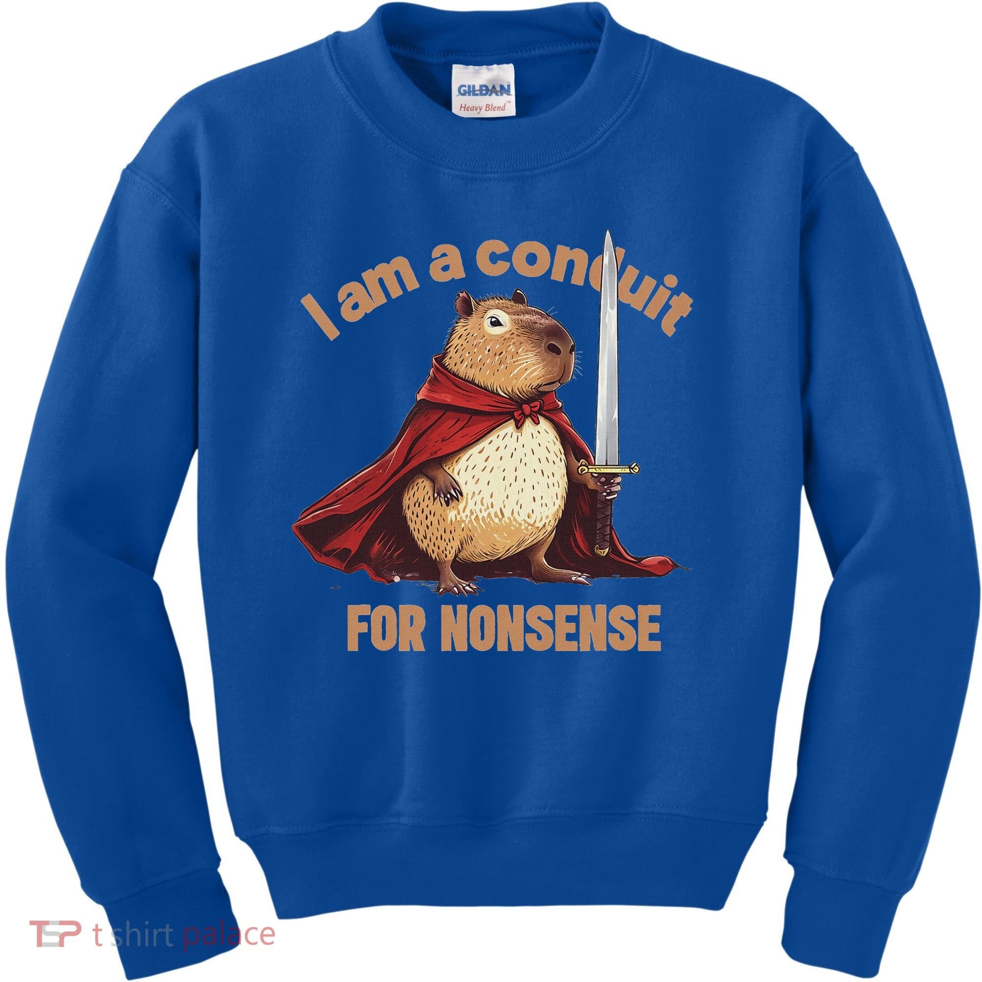 I Am A Conduit For Nonsense Kids Sweatshirt