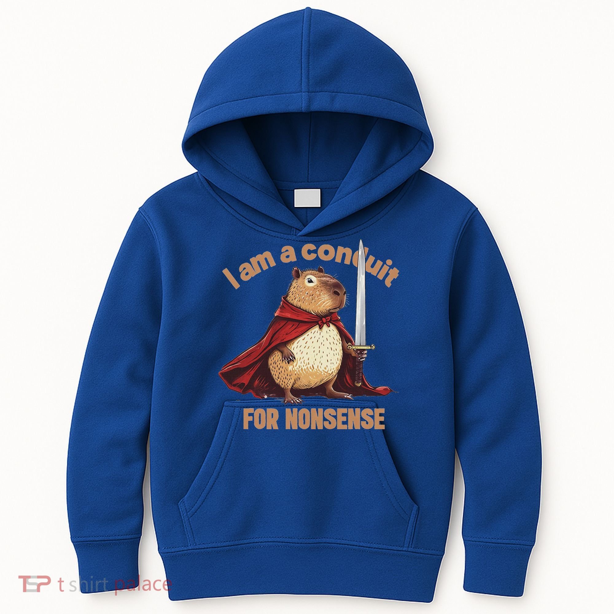I Am A Conduit For Nonsense Kids Hoodie