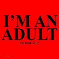 I'm An Adult Technically Funny Birthday Gift Santa Hat thumb 1