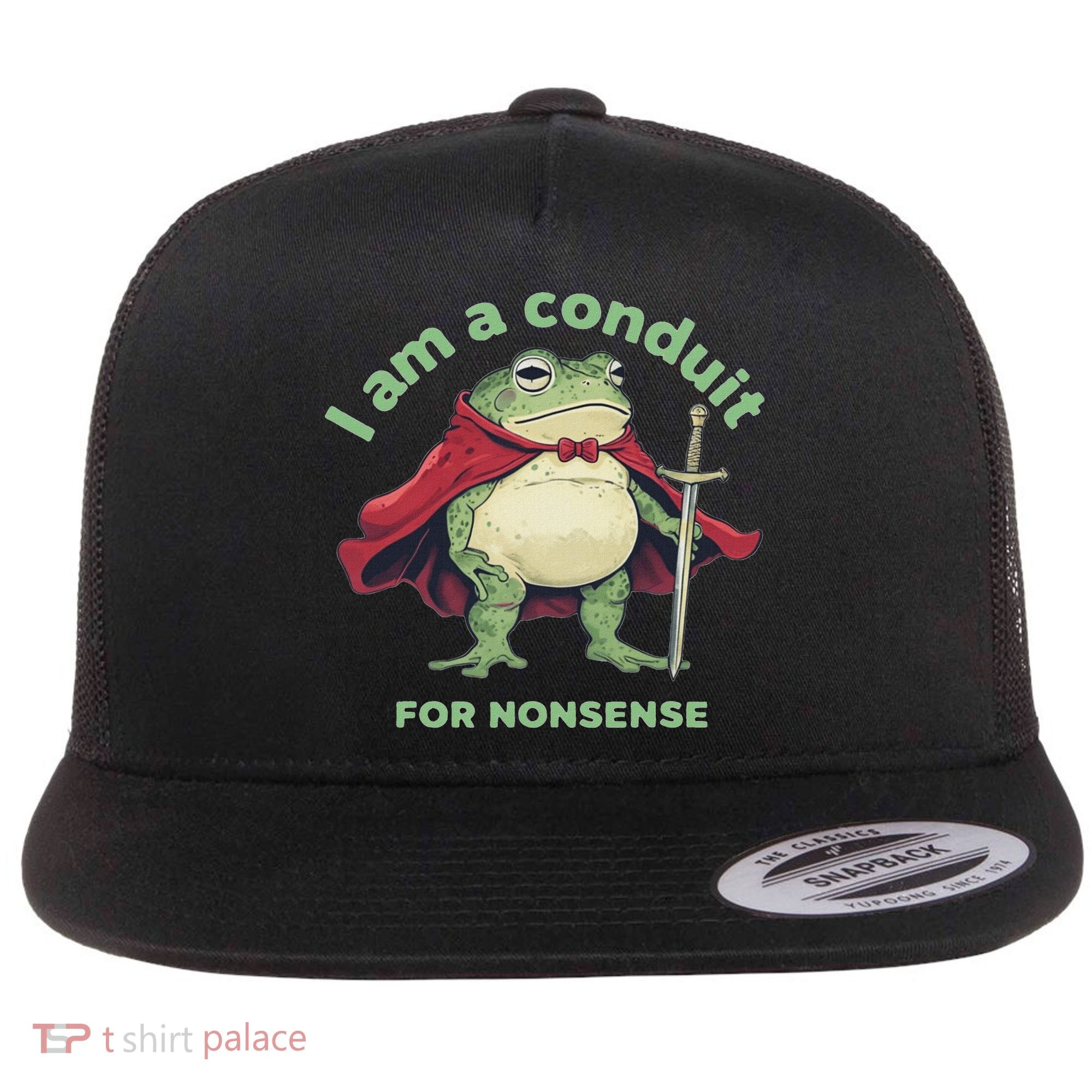 I Am A Conduit For Nonsense Funny Frog Flat Bill Trucker Hat