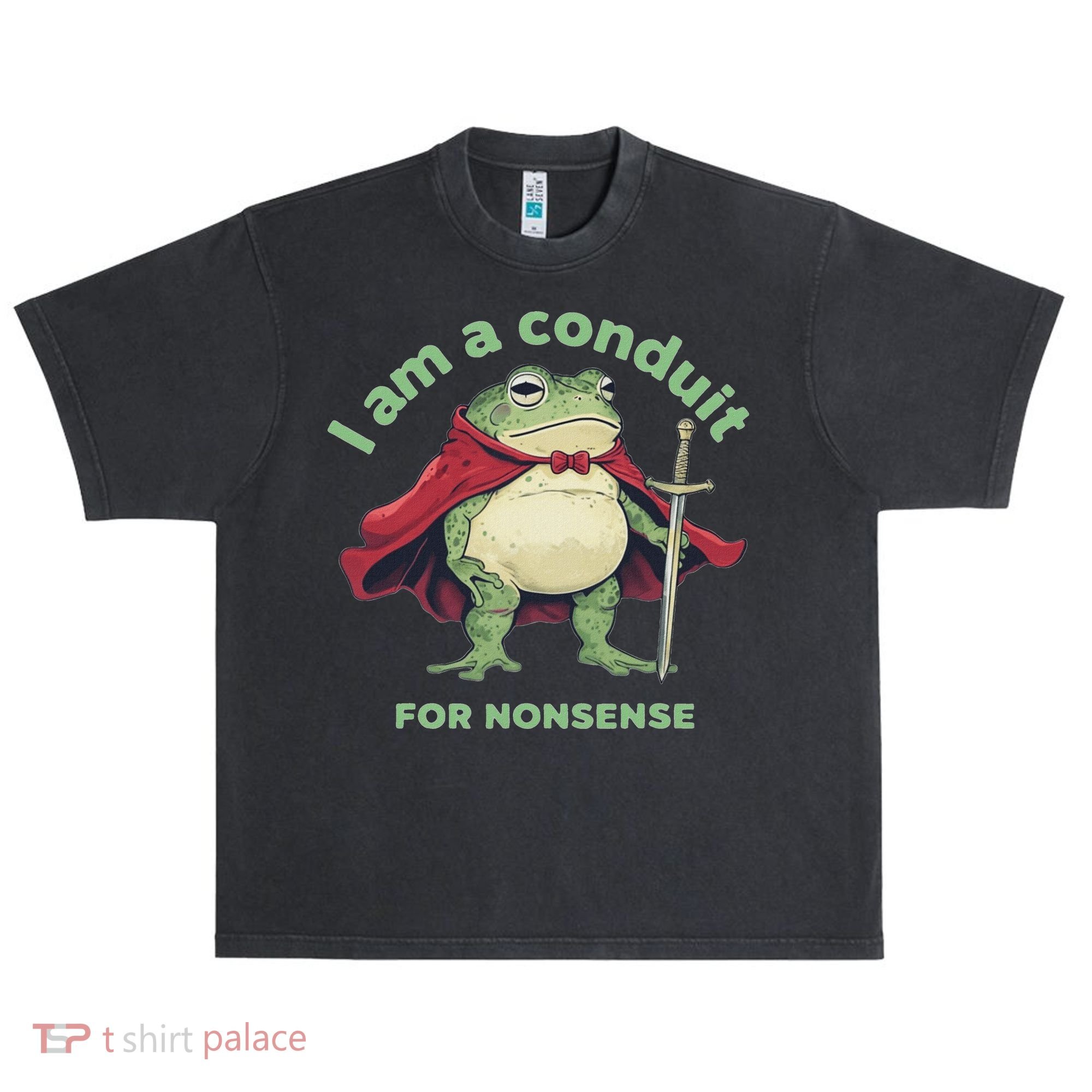 I Am A Conduit For Nonsense Funny Frog Urban Oversized Heavyweight T-Shirt
