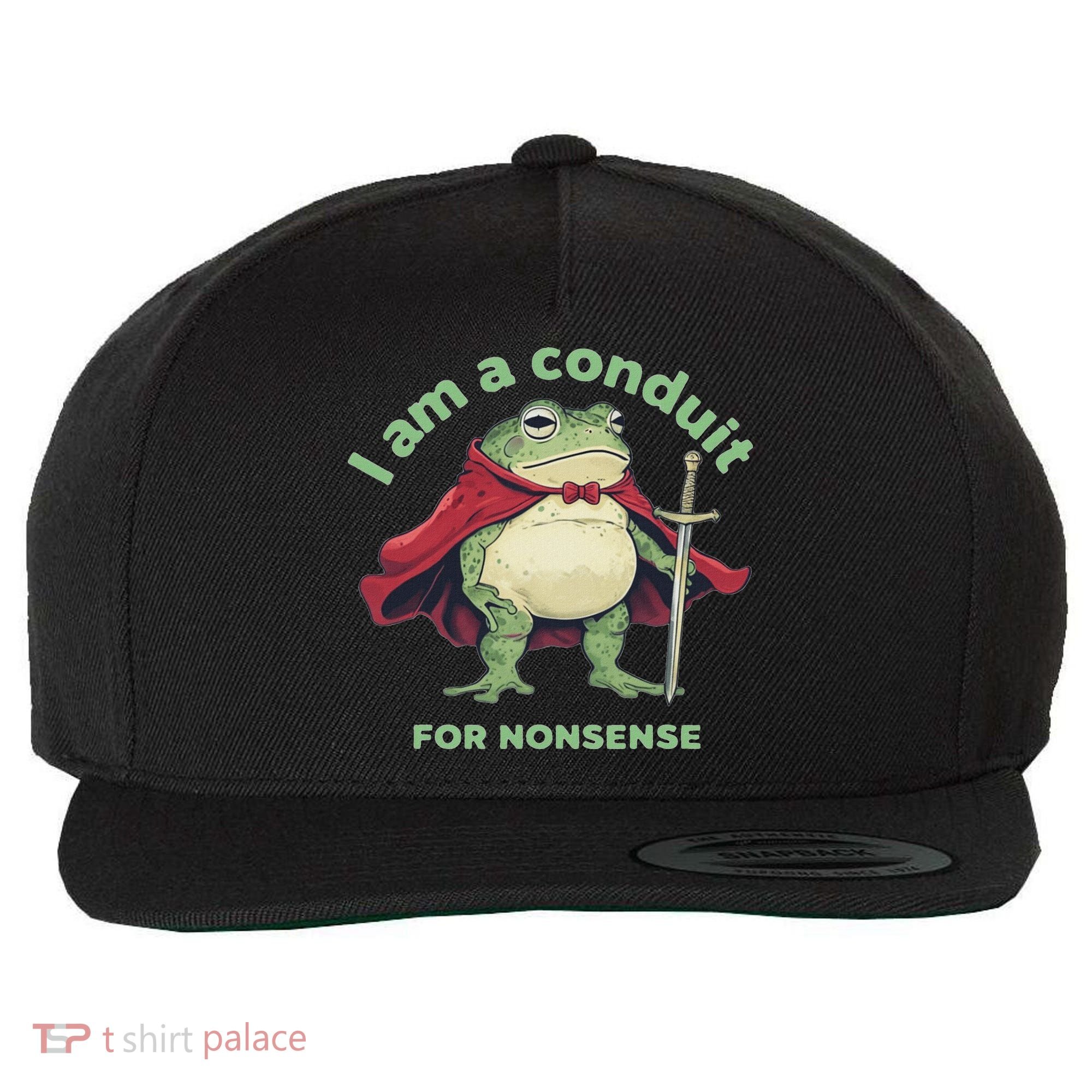 I Am A Conduit For Nonsense Funny Frog Wool Snapback Cap