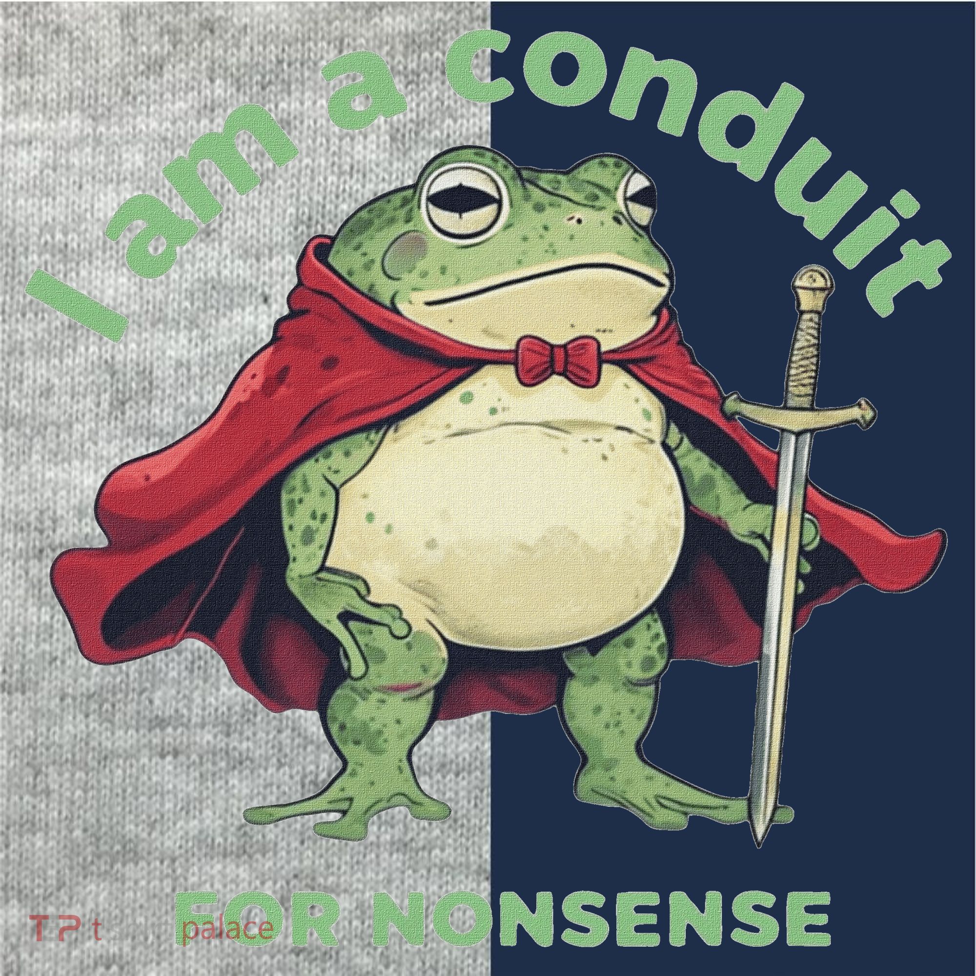 I Am A Conduit For Nonsense Funny Frog Kids Colorblock Raglan Jersey