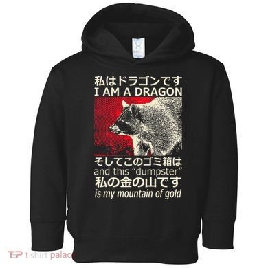I Am A Dragon And This Dumpster Is My Mountain Gf Gold Gift Toddler Hoodie