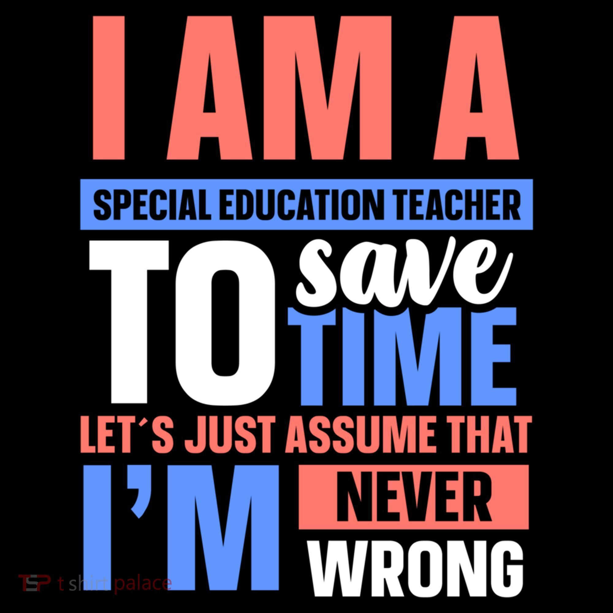 I Am An Special Education Teacher Gift Women's Hoodie