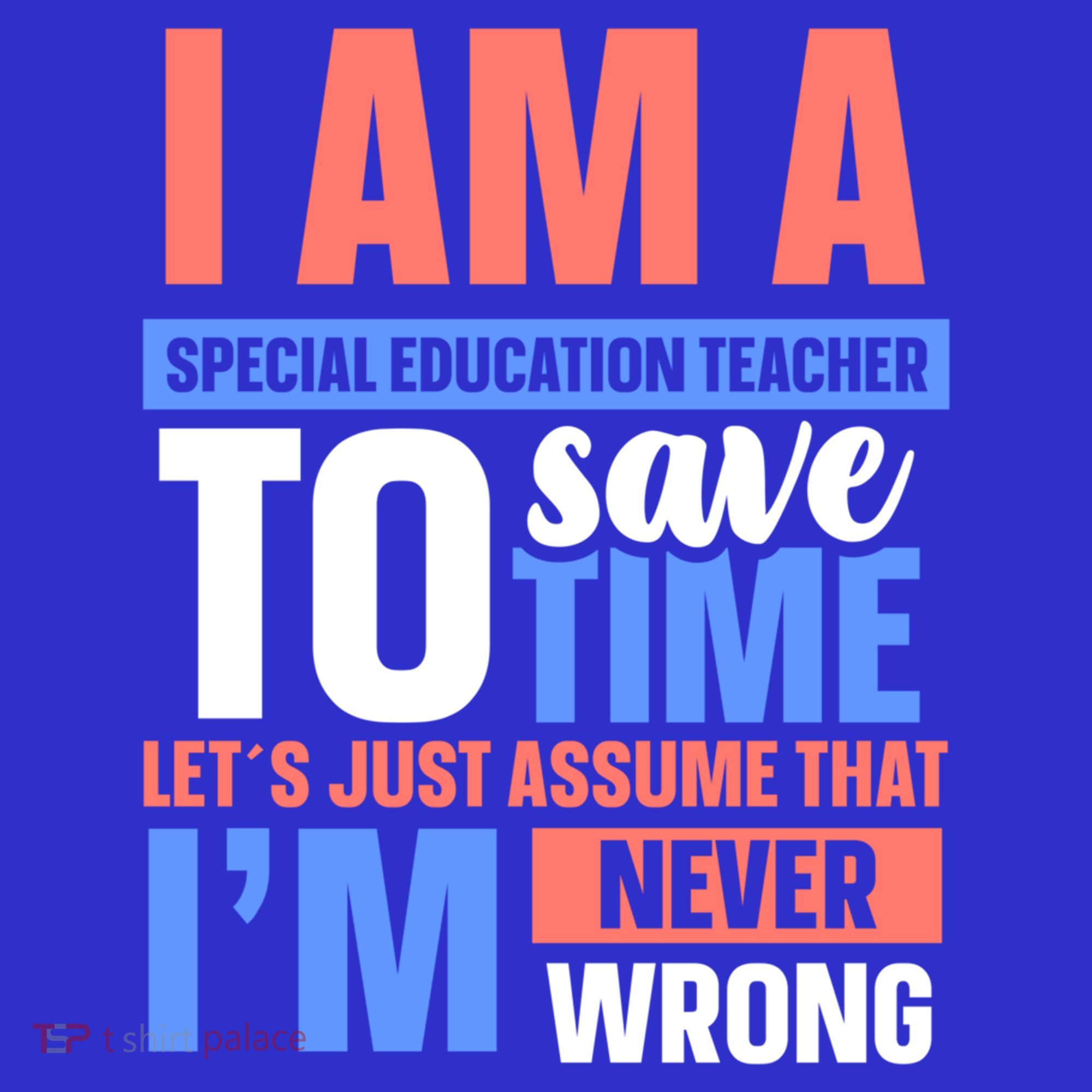 I Am An Special Education Teacher Gift Hoodie