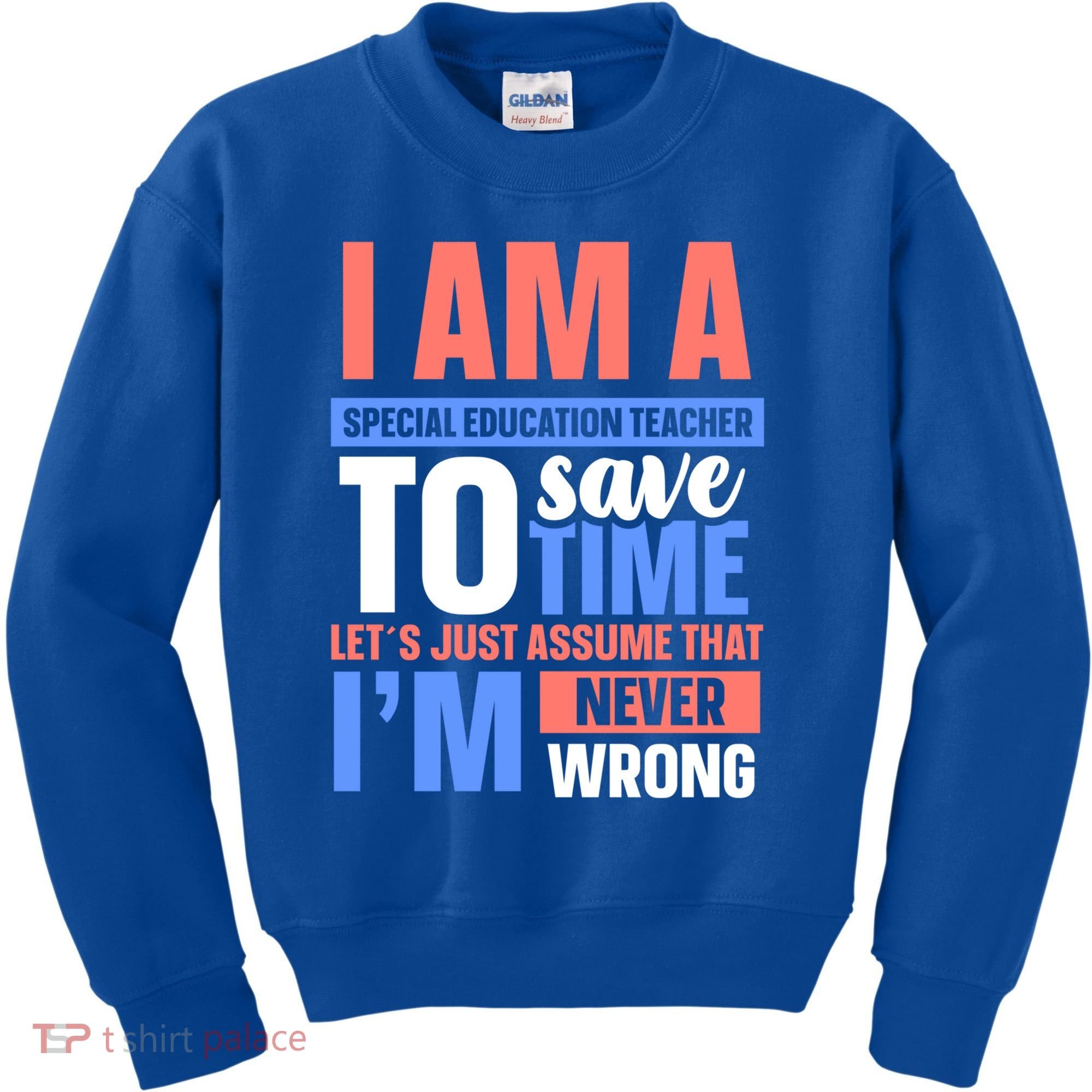 I Am An Special Education Teacher Gift Kids Sweatshirt