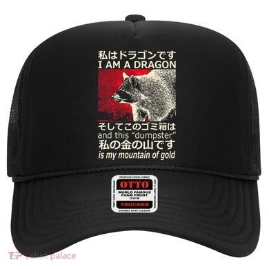 I Am A Dragon And This Dumpster Is My Mountain Hat