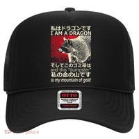 I Am A Dragon And This Dumpster Is My Mountain Hat thumb 0