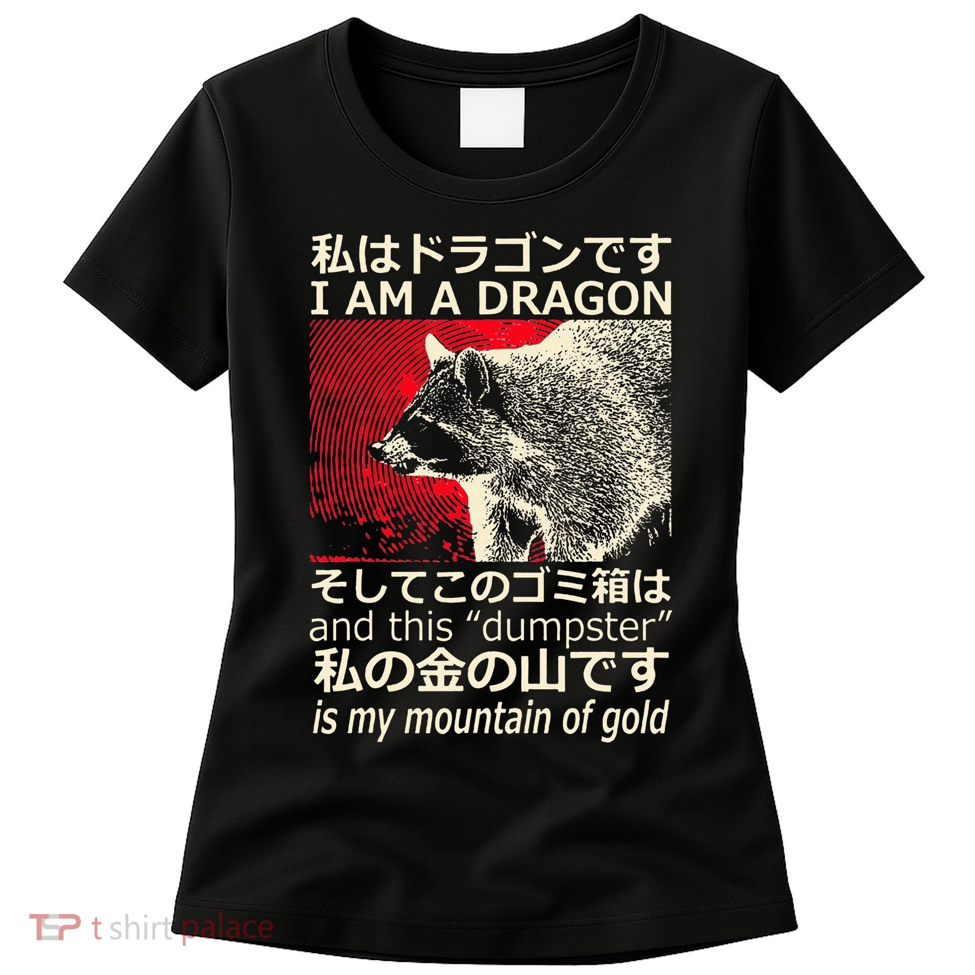 I Am A Dragon And This Dumpster Is My Mountain Women's T-Shirt