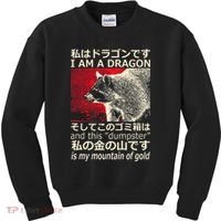 I Am A Dragon And This Dumpster Is My Mountain Kids Sweatshirt thumb 0