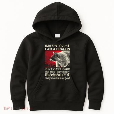 I Am A Dragon And This Dumpster Is My Mountain Kids Hoodie