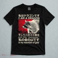 I Am A Dragon And This Dumpster Is My Mountain Of Gold T-Shirt thumb 5