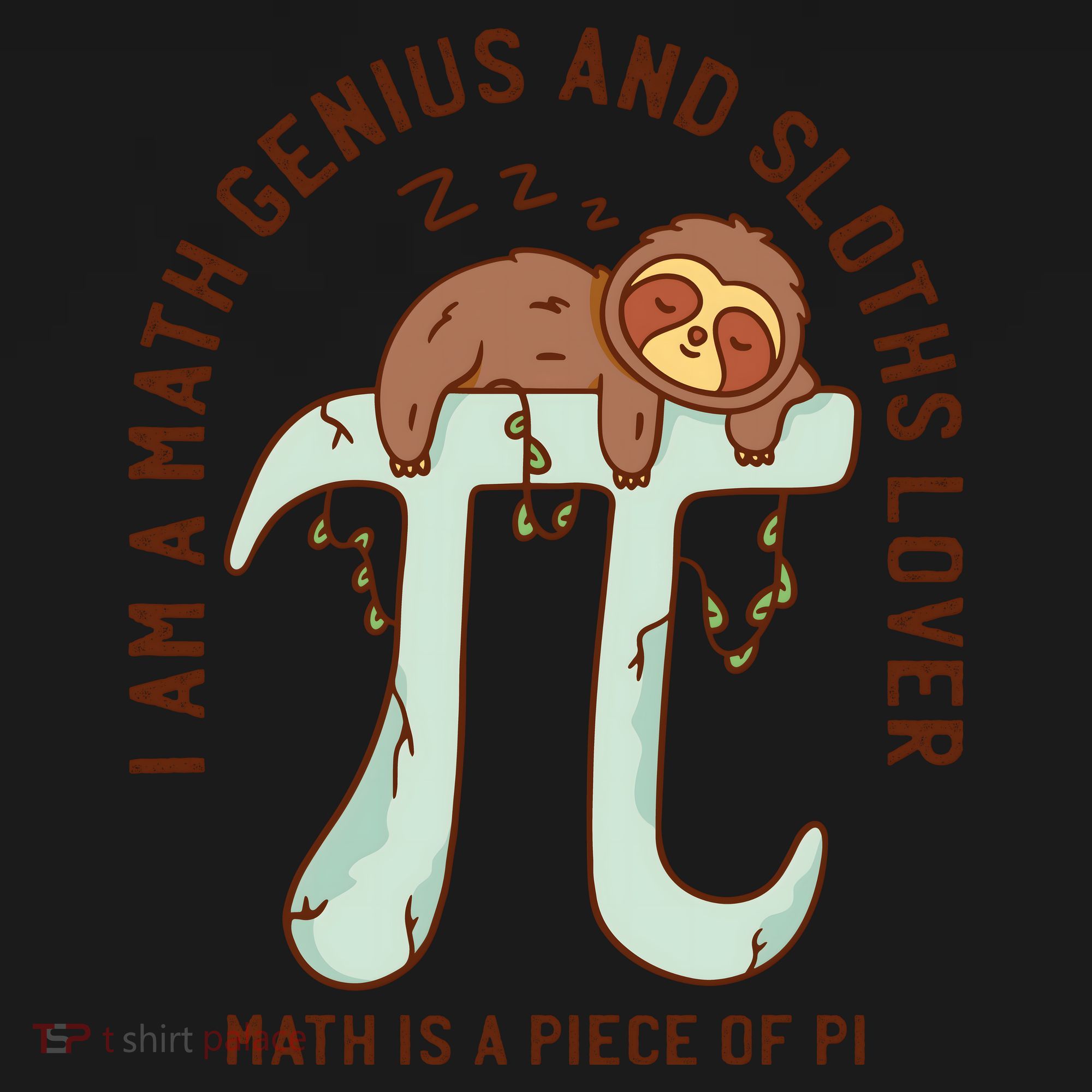 I Am A Math Genius And Sloths Lover Math Is A Piece Of Pi Women's Hoodie