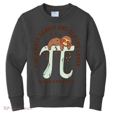 I Am A Math Genius And Sloths Lover Math Is A Piece Of Pi Kids Sweatshirt