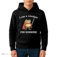 I Am A Conduit For Nonsense Funny Frog With Sword And Red Kids Hoodie thumb 4