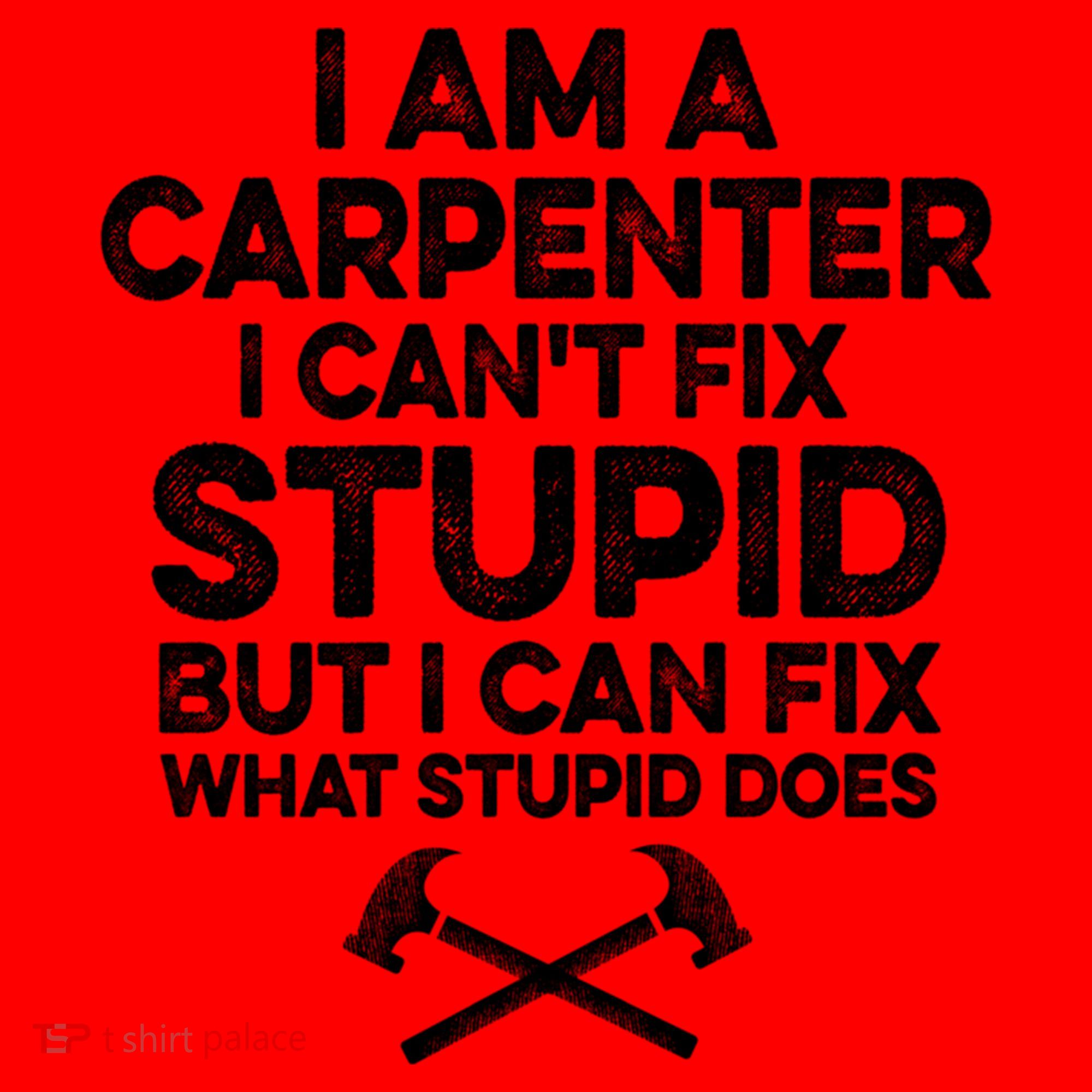 I Am A Carpenter I Can't Fix Stupid Funny Carpentry Gift Santa Hat