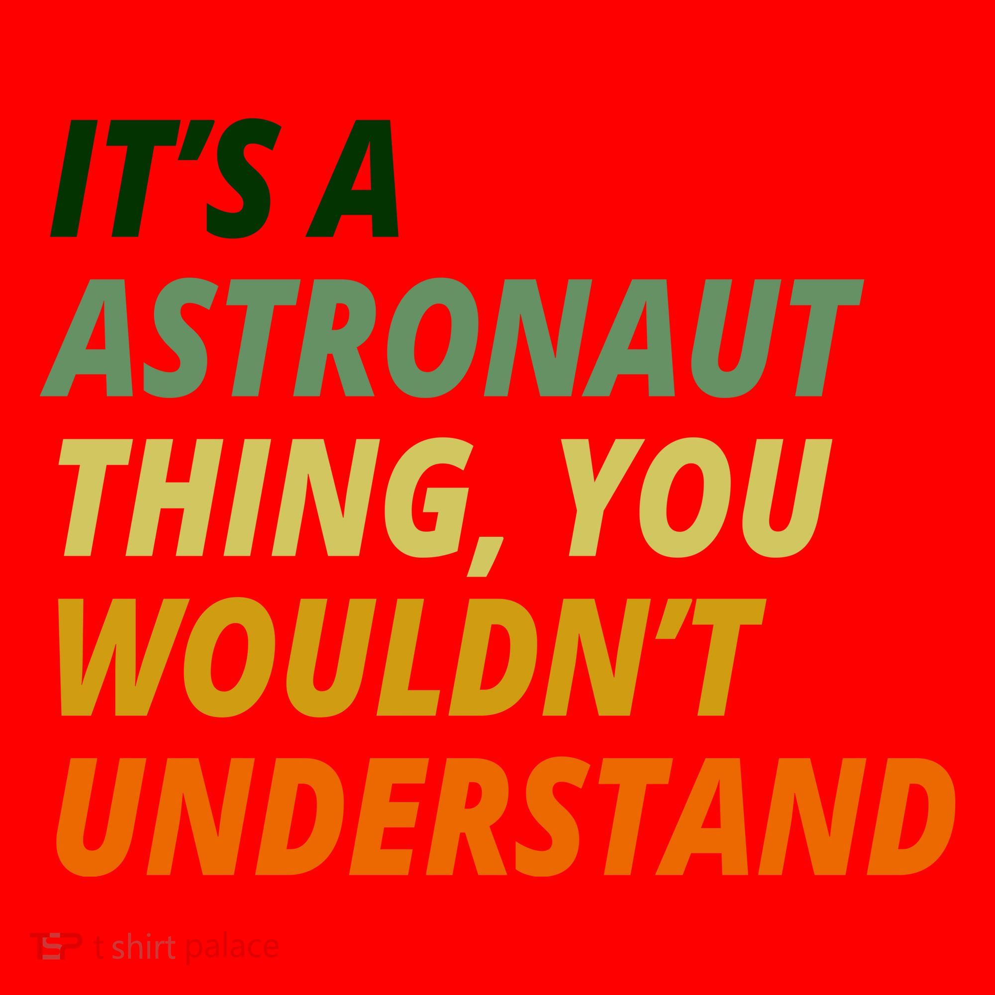 It's A Astronaut Thing You Wouldn't Understand Santa Hat