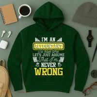 Im An Accountant To Save Time Auditor Auditing Bookkeeper Hoodie thumb 3