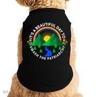 It's A Beautiful Day To Smash The Patriarchy Doggie Tank thumb 0