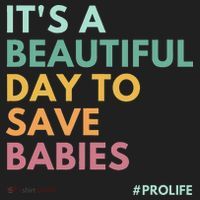 It's A Beautiful Day To Save Babies Pro Life Beanie thumb 2