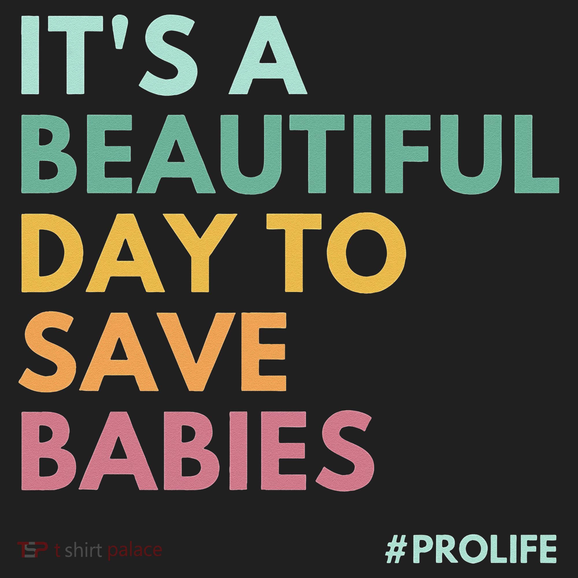 It's A Beautiful Day To Save Babies Pro Life Beanie