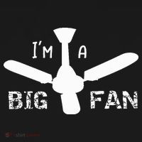 I'm a Big Fan Ceiling Fan  Polo thumb 3