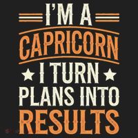 IM A Capricorn I Turn Plans Into Results Beanie thumb 2