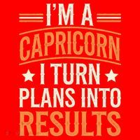 IM A Capricorn I Turn Plans Into Results Santa Hat thumb 1