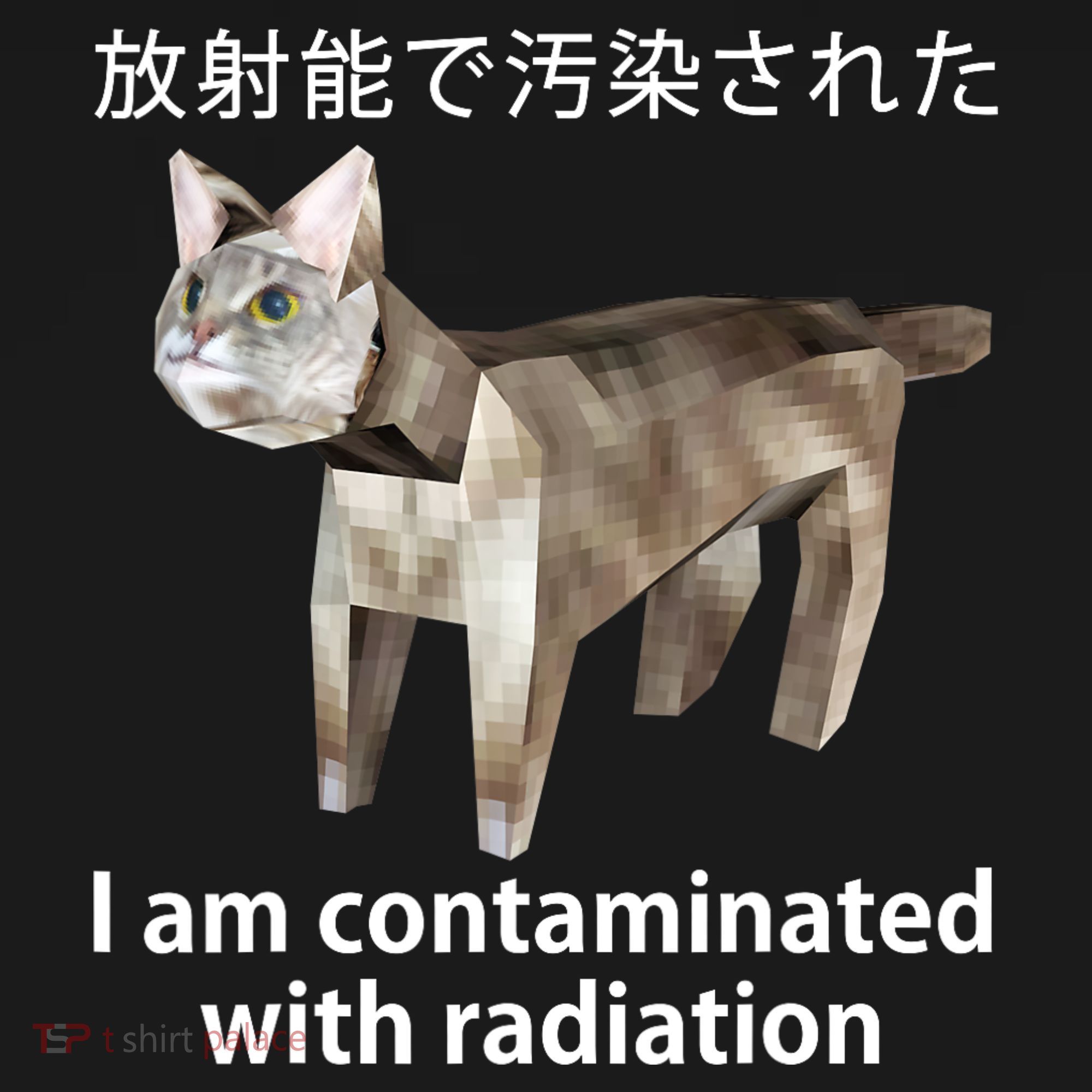 I Am Contaminated With Radiation Japanese Cat Women's Hoodie