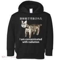 I Am Contaminated With Radiation Japanese Cat Toddler Hoodie thumb 0