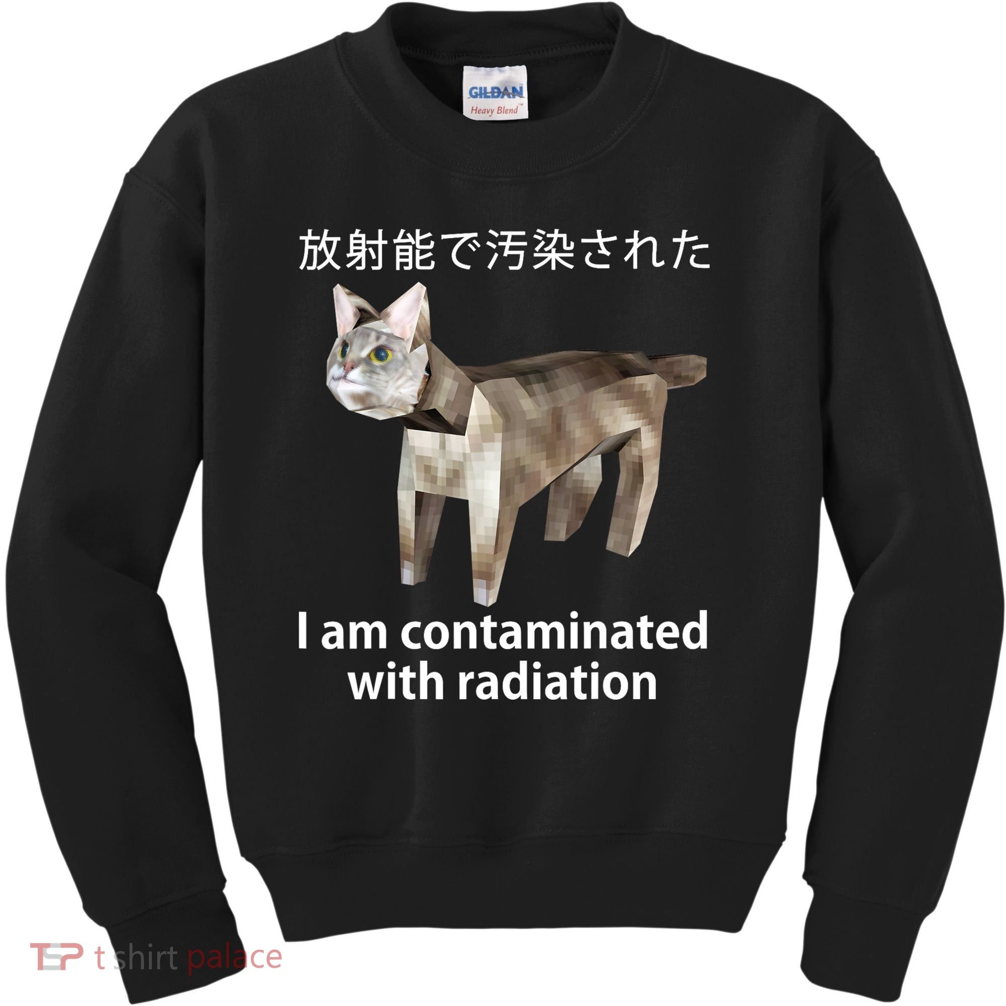 I Am Contaminated With Radiation Japanese Cat Kids Sweatshirt