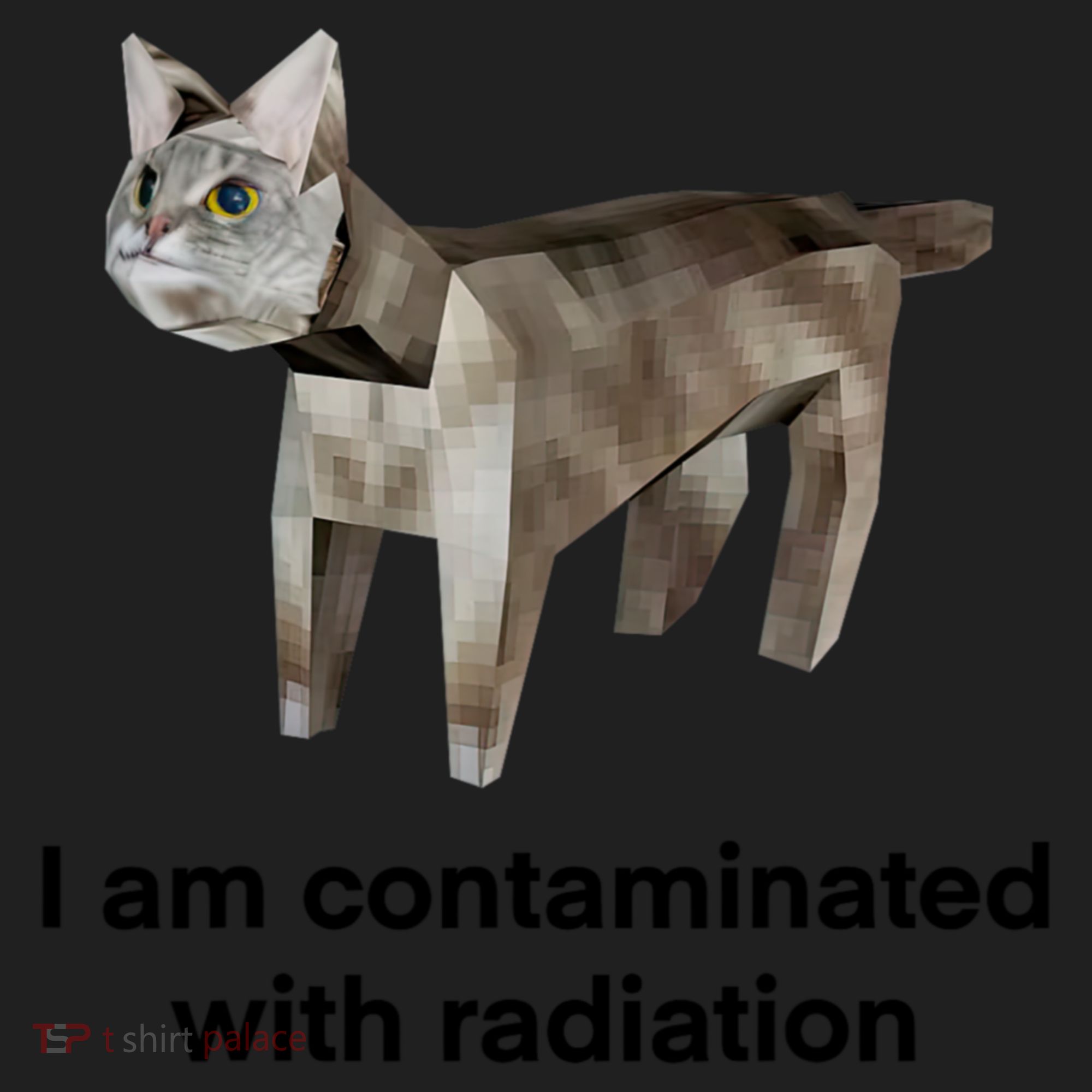 I Am Contaminated With Radiation Funny Ironic Cat Meme Women's Sweatshirt