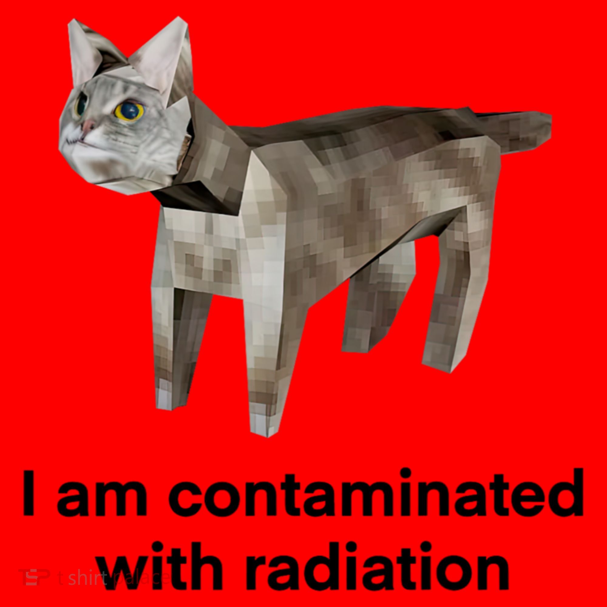 I Am Contaminated With Radiation Funny Ironic Cat Meme Santa Hat