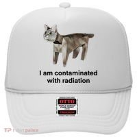 I Am Contaminated With Radiation Funny Ironic Cat Meme Hat thumb 0