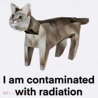 I Am Contaminated With Radiation Funny Ironic Cat Meme Kids Sweatshirt thumb 2