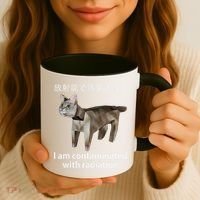 I Am Contaminated With Radiation Japanese Cat Meme Gift Coffee Mug thumb 3