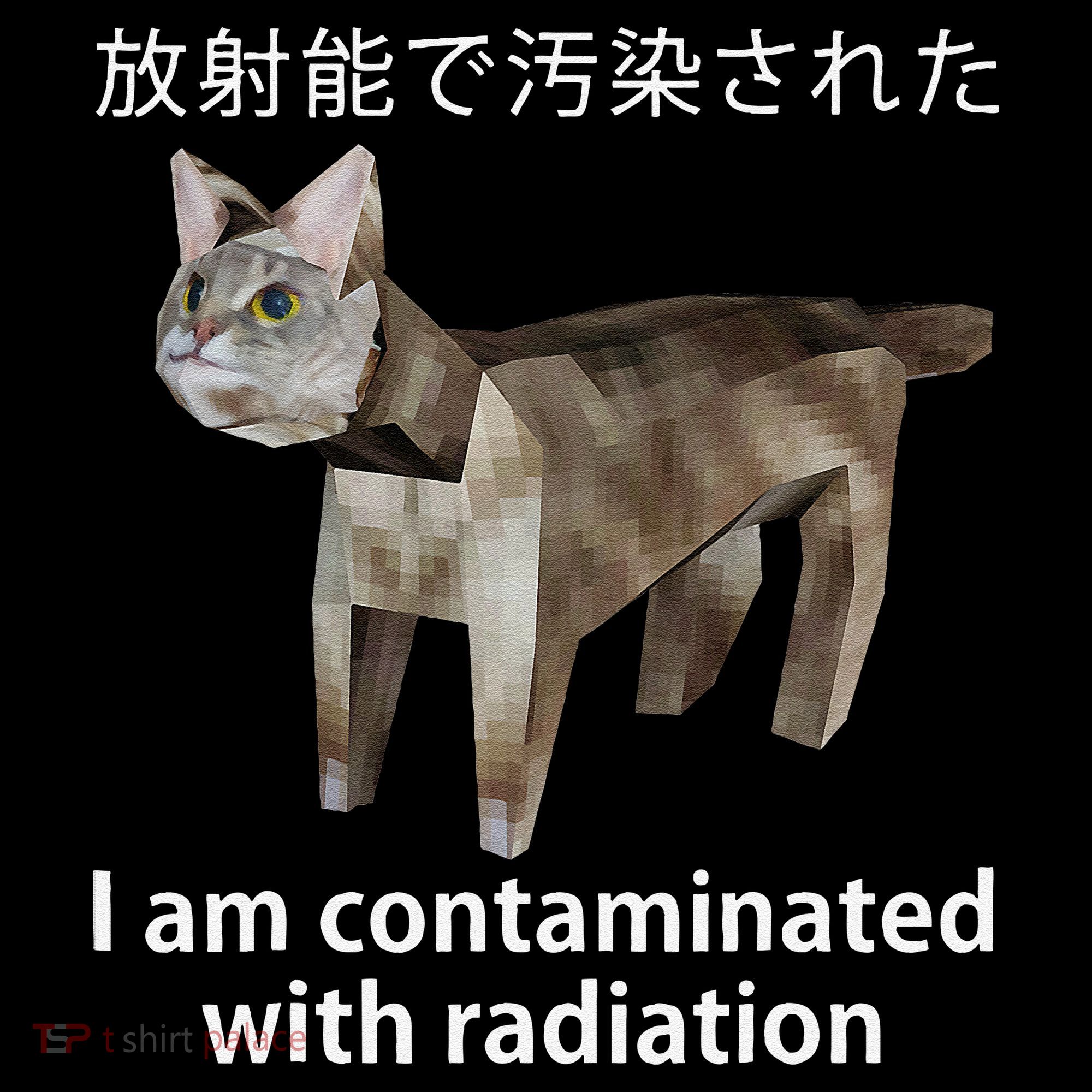 I Am Contaminated With Radiation Japanese Cat Meme Gift Coffee Mug