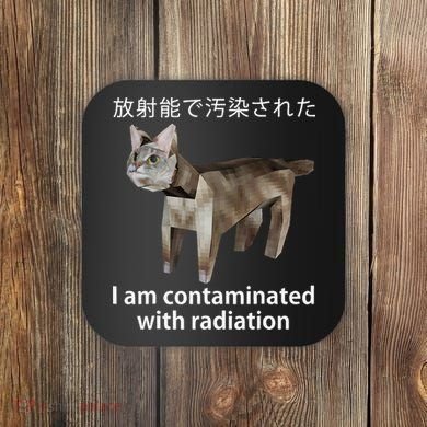 I Am Contaminated With Radiation Japanese Cat Meme Gift Coaster
