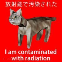I Am Contaminated With Radiation Japanese Cat Meme Gift Santa Hat thumb 1