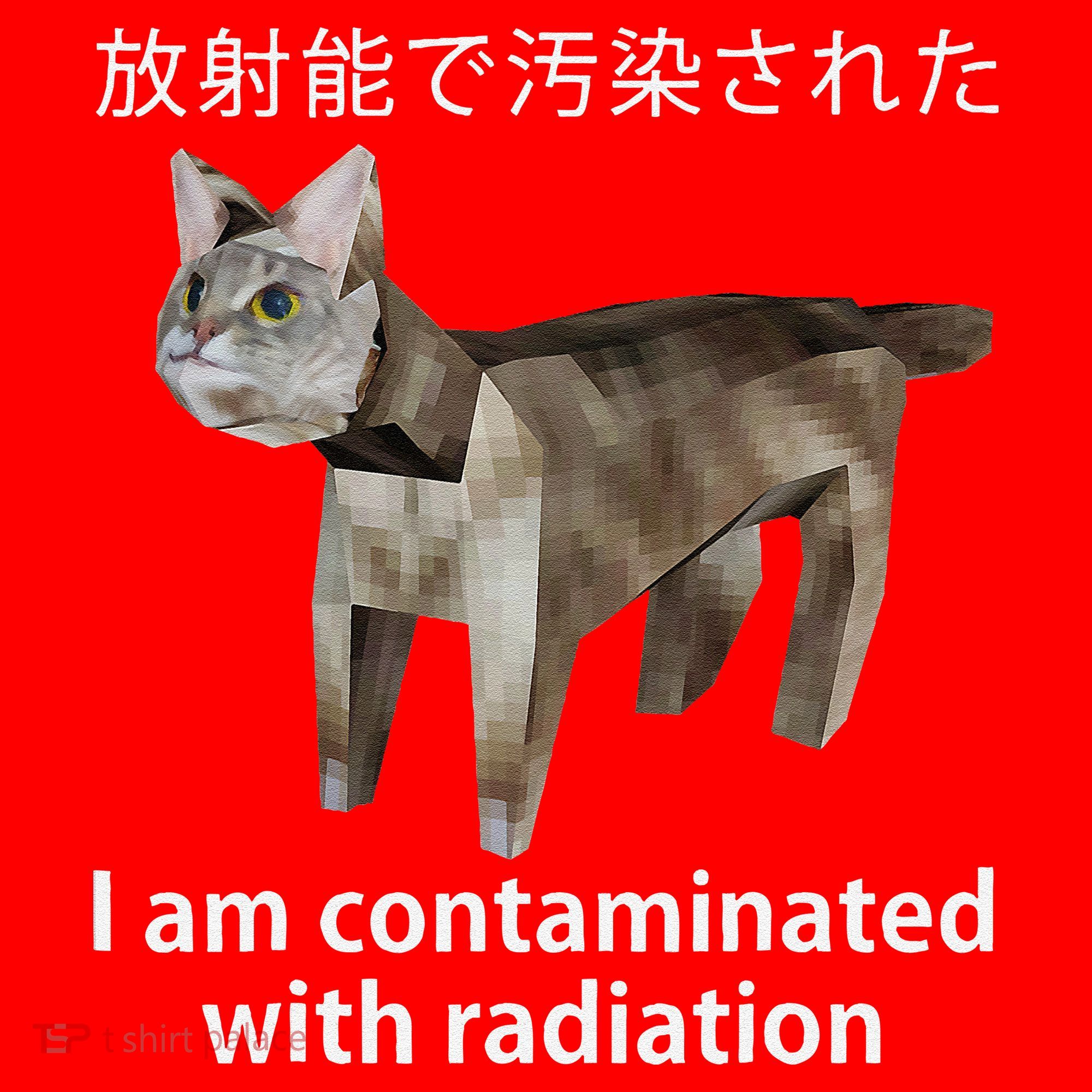 I Am Contaminated With Radiation Japanese Cat Meme Gift Santa Hat