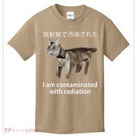 I Am Contaminated With Radiation Japanese Cat Meme Gift Kids T-Shirt thumb 0