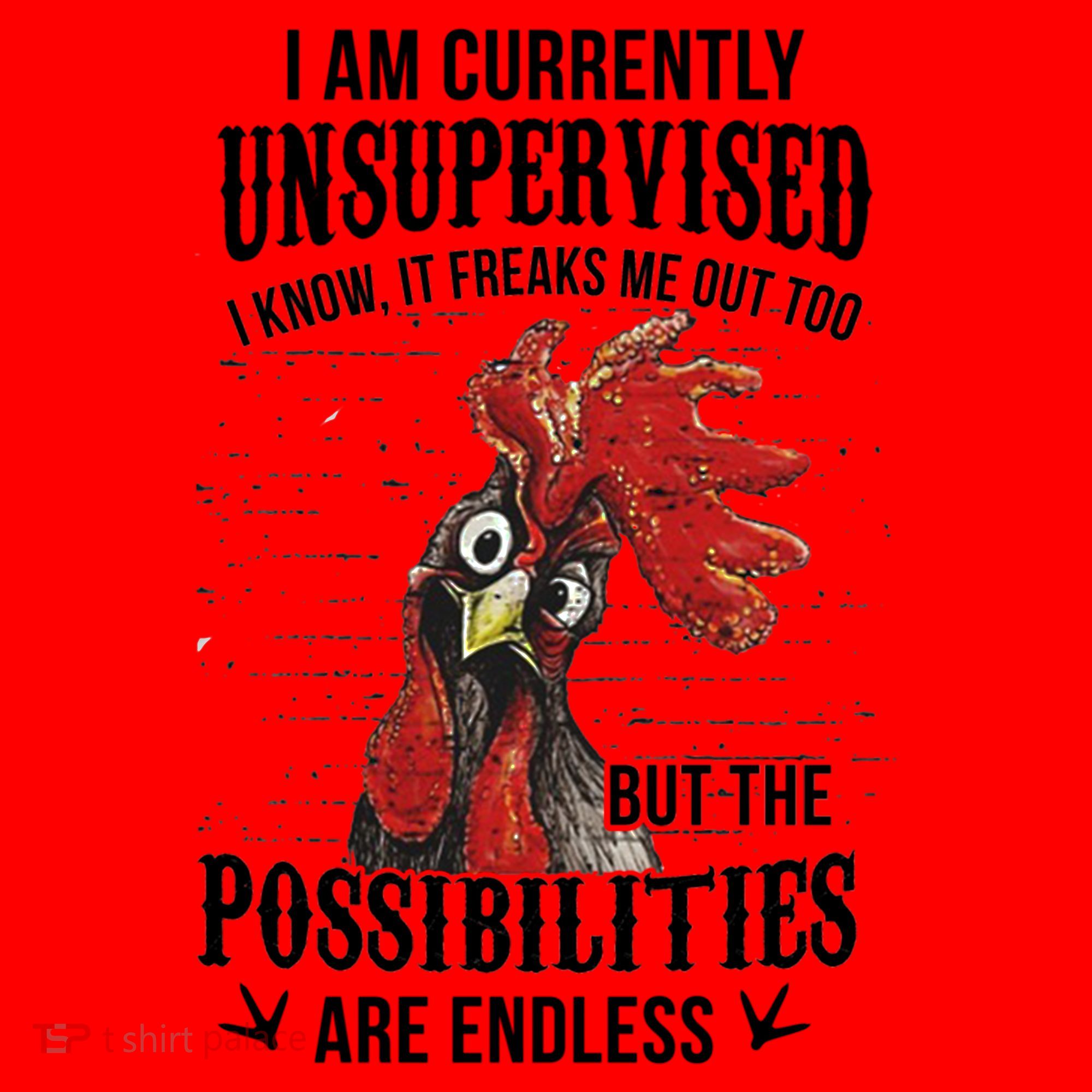 I Am Currently Unsupervised I Know It Chicken Farmer Gift Santa Hat
