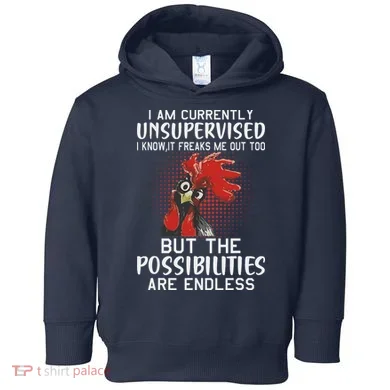 Toddler Hoodie