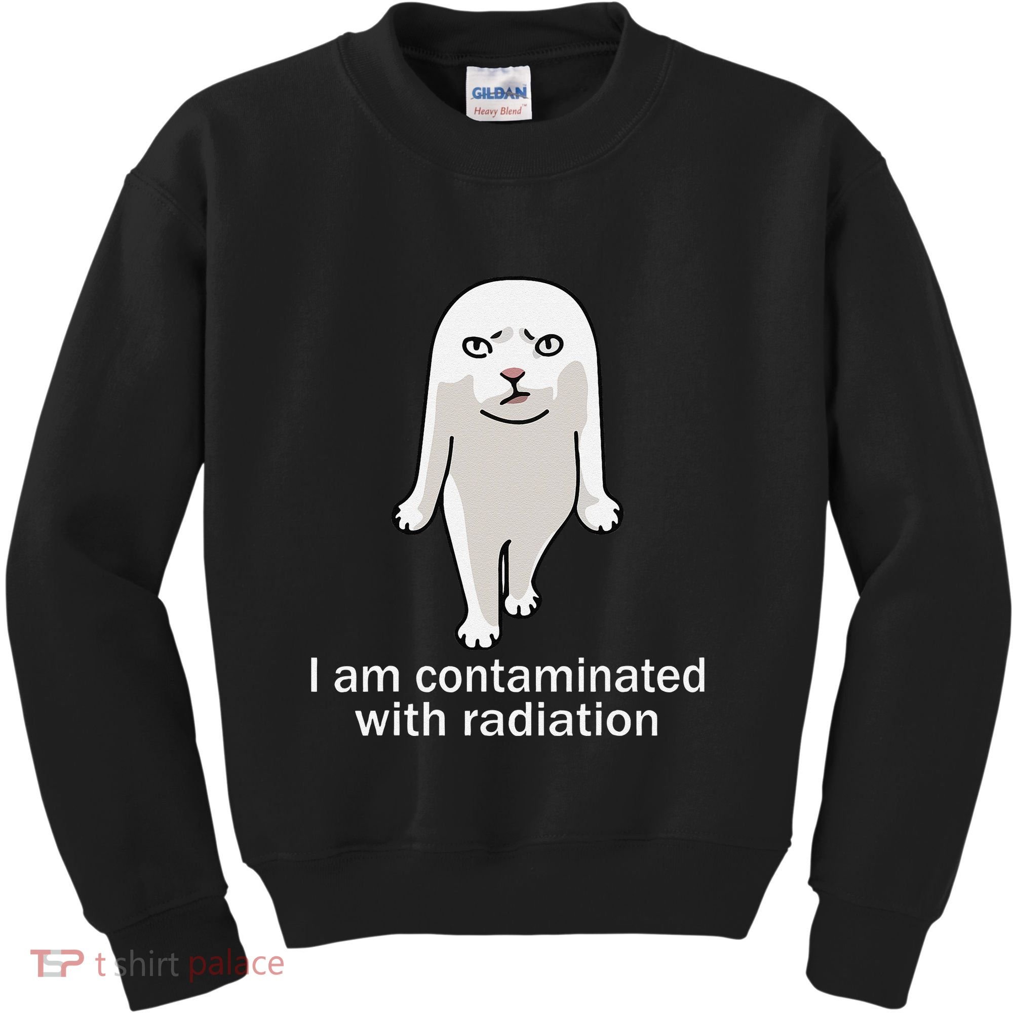 I Am Contaminated With Radiation Oddly Specific Dank Meme Kids Sweatshirt