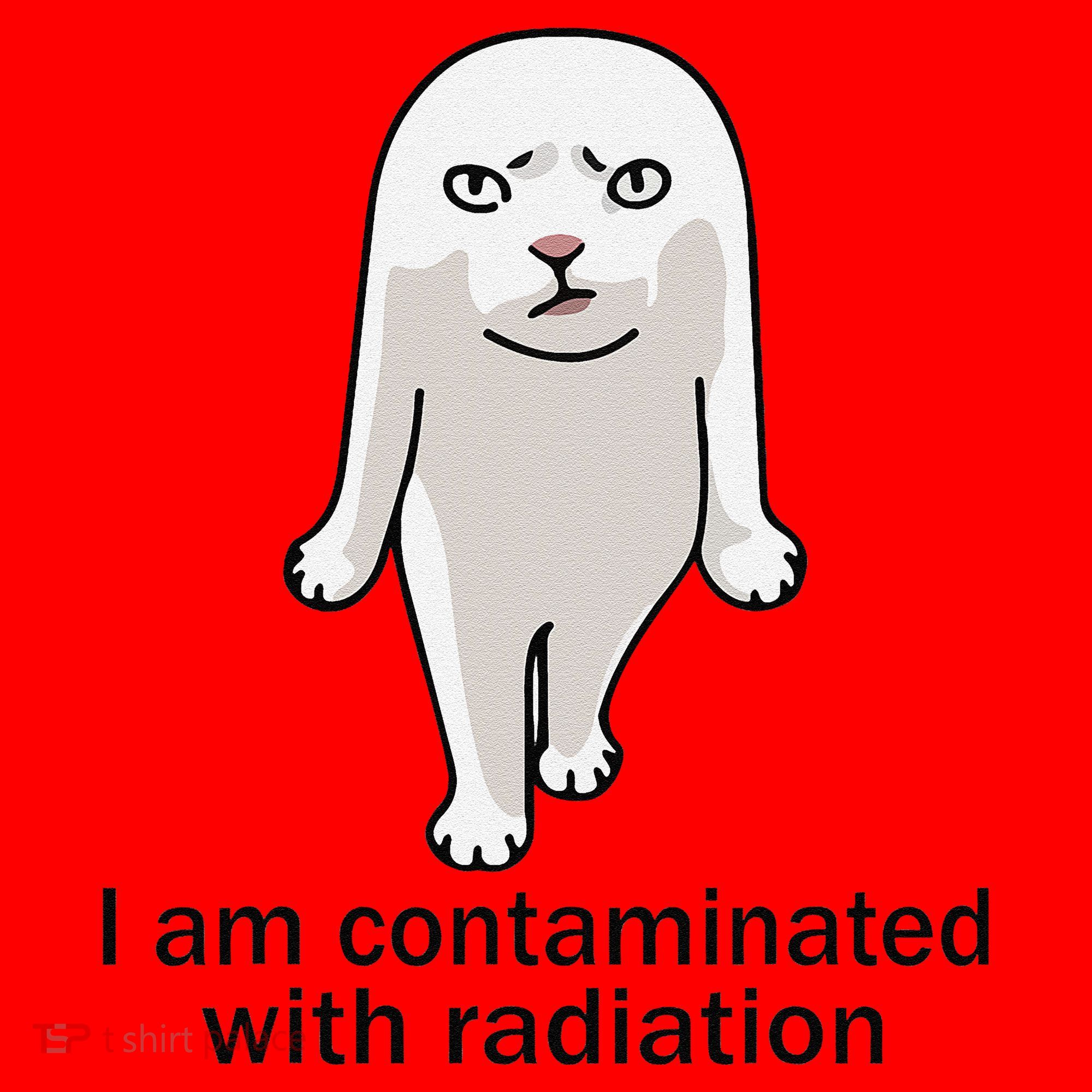 I Am Contaminated With Radiation Oddly Specific Dank Meme Santa Hat
