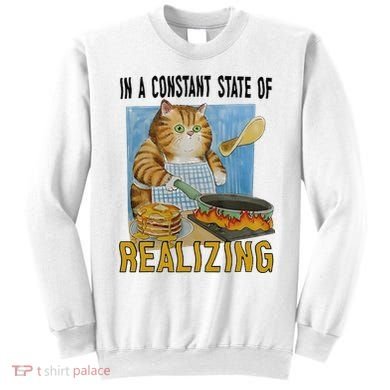 In A Constant State Of Realizing Sweatshirt