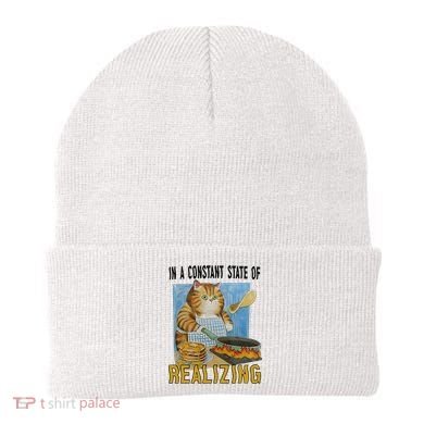 In A Constant State Of Realizing Beanie