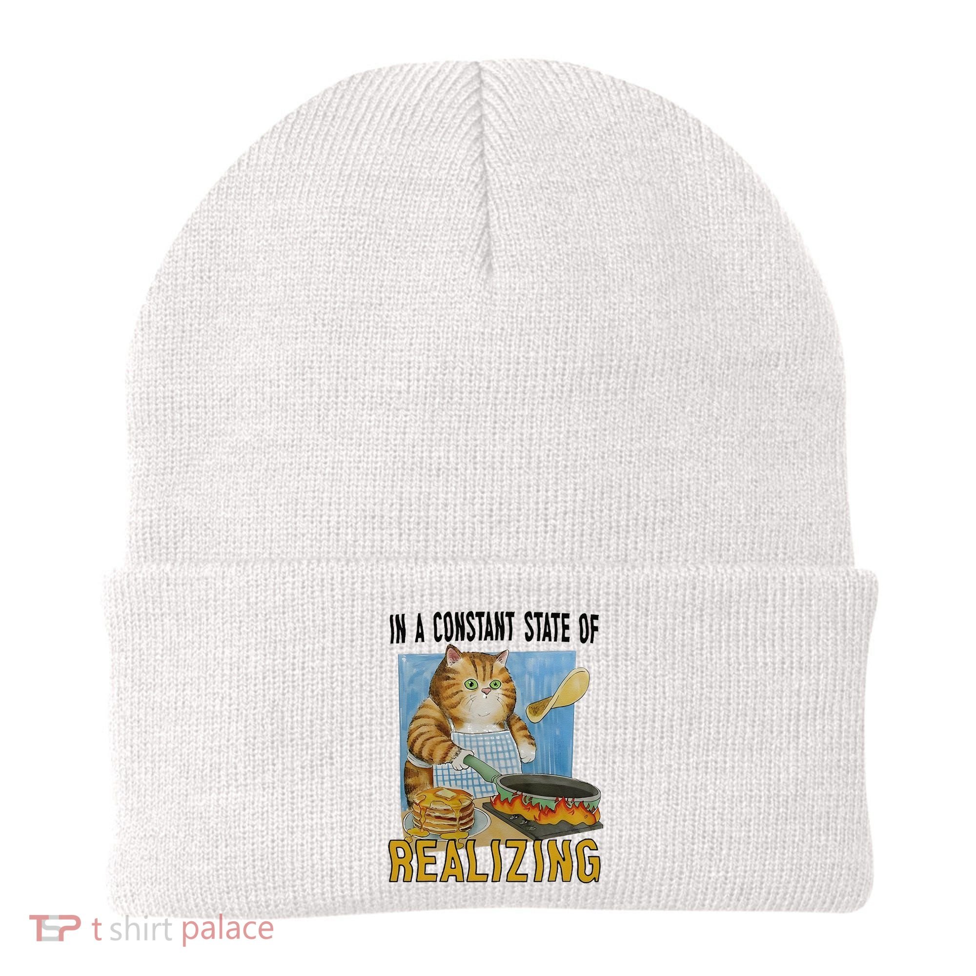 In A Constant State Of Realizing Beanie