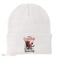 It's A Crawfish Kinda Day Crawfish Funny Louisiana Seafood Beanie thumb 0